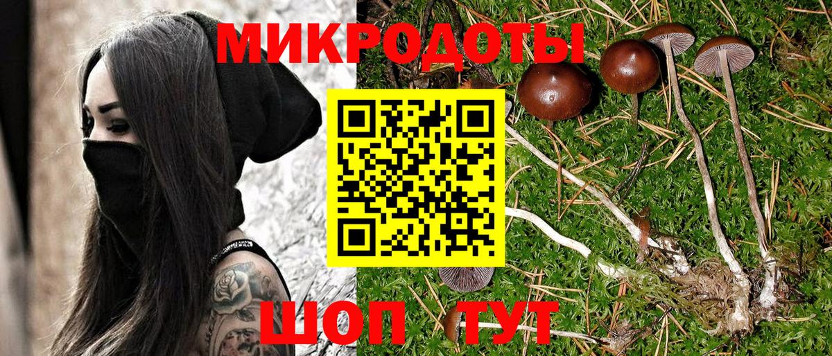 закладка  Псилоцибиновые грибы Magic Shrooms  Коряжма  Вход с VPN  Псилоцибиновые грибы Psilocybine cubensis 