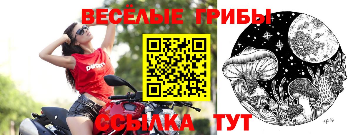 Галлюциногенные грибы мицелий Коряжма